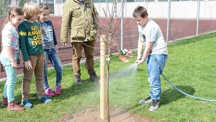 Impressionen vom Obstbaum-Pflanztag an der Grundschule Melkendorf  Foto: Dagmar Besand