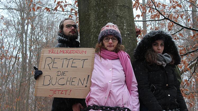 MdB Lisa Badum protestiert gegen Fällungen im Hohen Buchenen Wald. Foto: privat