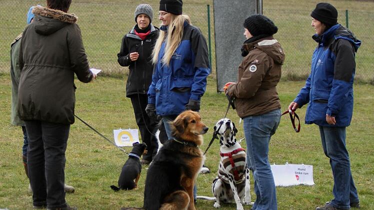 Besprechung mit den Hundeführerinnen vor Eintritt in den Parcour Foto: Günther Geiling
