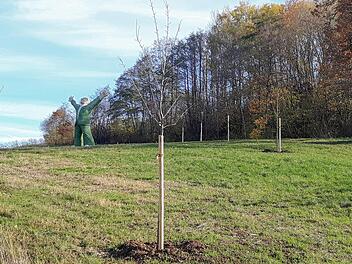 Mit Ausgleichsflächen wie hier im Ellertal setzt die Gemeinde Litzendorf ein Zeichen in Sachen Ökologie. Foto: Werner Höchstetter