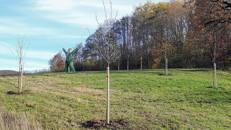 Mit Ausgleichsflächen wie hier im Ellertal setzt die Gemeinde Litzendorf ein Zeichen in Sachen Ökologie. Foto: Werner Höchstetter