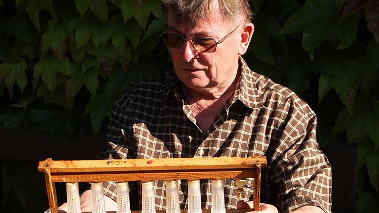 Imkervereinsvorsitzender Peter Kirchner wurde beid er jahersversammlung in seinem Amt bestätigt. Unser Bild zeigt ihn mit dem Zuchtrahmen für die geschlüpften Königinnen Foto: Günther Geiling
