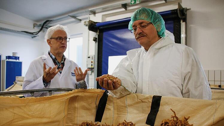 Der Kontroll-Blick: Lebensmitteltechnologe Christian Hastedt (links) führt Werner Hornung durch die Maintal-Produktionsstätte.  Foto: Teresa Hirschberg