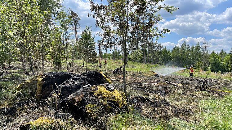 In Wald gegrillt und Feuer verursacht: Polizei ermittelt