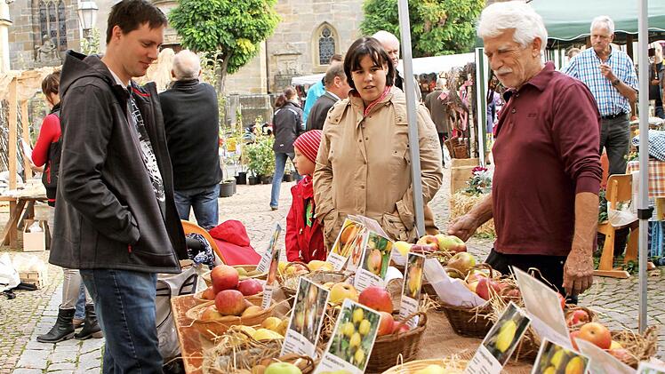 Das Apfelfest der BN-Ortsgruppe Ebern erfreut sich großer Beliebtheit. Foto: Archiv