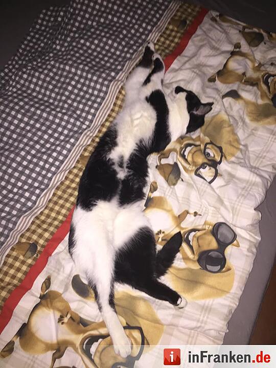 Foto: Nicole Vorrath