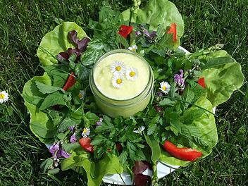 Grüße aus der Natur: der Mittags- Power-Salat  Fotos: Privat