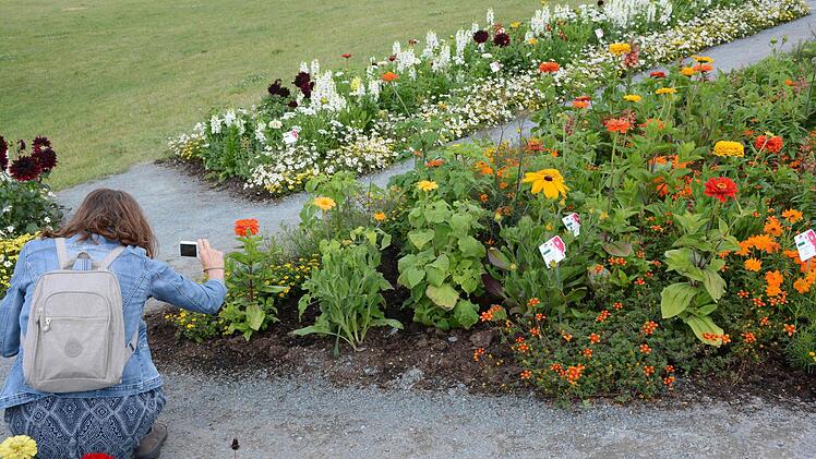 Impressionen von der Landesgartenschau in Bayreuth Foto: Dagmar Besand