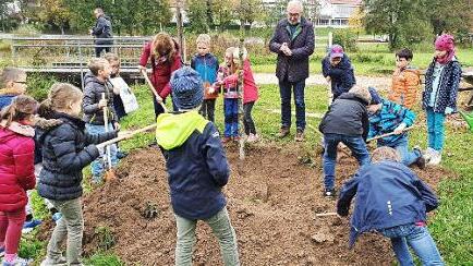 Den Kindern macht das Pflanzen der Silberlinde Spaß - unterstützt werden sie von Anita Hebeis und Helmut Krämer.  Fotos: Carmen Schwind