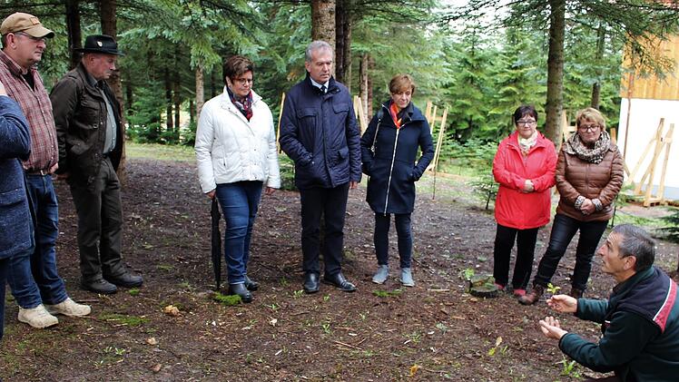 Förster Gerhard Hofmann (kniend) zeigt Bürgermeister Friedrich Gleitsmann, Dieter Rippel, Wilhelm Beßler, Landesbäuerin Anneliese Göller, Bürgermeister Hans Beck, stellvertretende Kreisbäuerin Marion Link, Ortsbäuerin Angelika Betz und Kreisbäuerin Evi Derrer  (v. l.), dass auf dem Betriebsgelände sogar Eichensprösslinge wachsen.    Foto: Evi Seeger