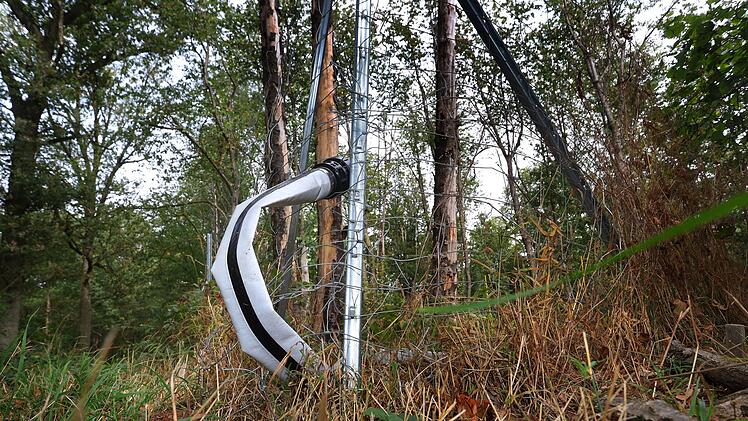 Rottendorf: Tr&ouml;pfchenbew&auml;sserung im Wald gegen Trockenheit? Erste Erkenntnisse aus Pilotprojekt