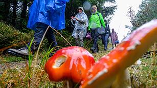 123. Deutscher Wandertag in der Unesco-Welterberegion