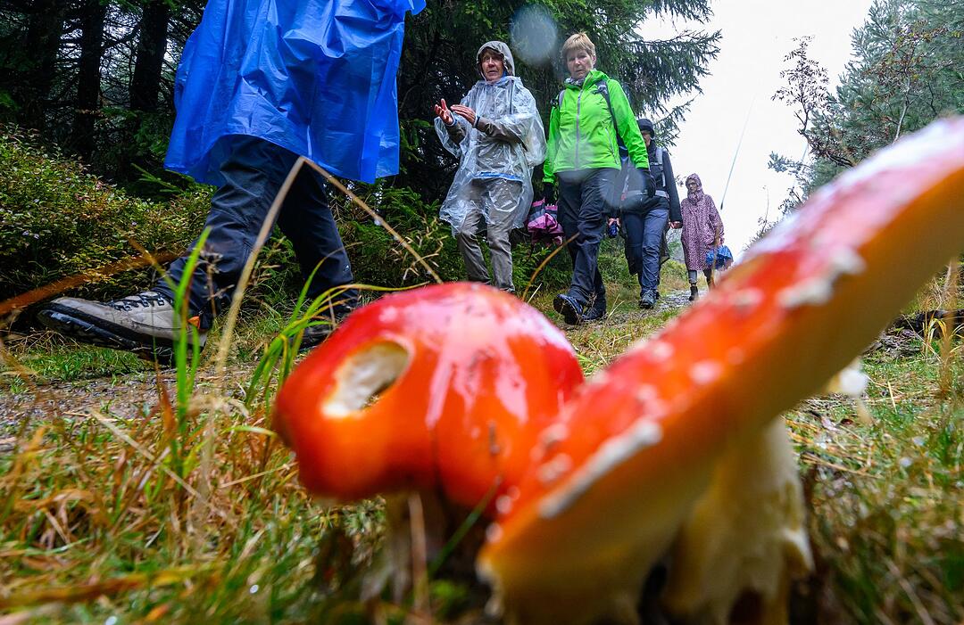 123. Deutscher Wandertag in der Unesco-Welterberegion