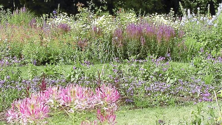 Gartenfreunde fanden viele Anregungen.