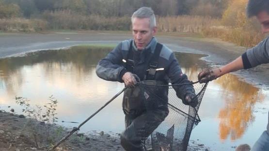Gunar Rusche setzte die Fische in den gegen&uuml;berliegenden Weiher um, mit Unterst&uuml;tzung aus der Nachbarschaft. Bei der Rettungsaktion versank er teils bis zum Bauchnabel im Schlamm.  Fotos: Silke Schmittlutz (oben), Klug (Stadt Bamberg/Umweltamt)