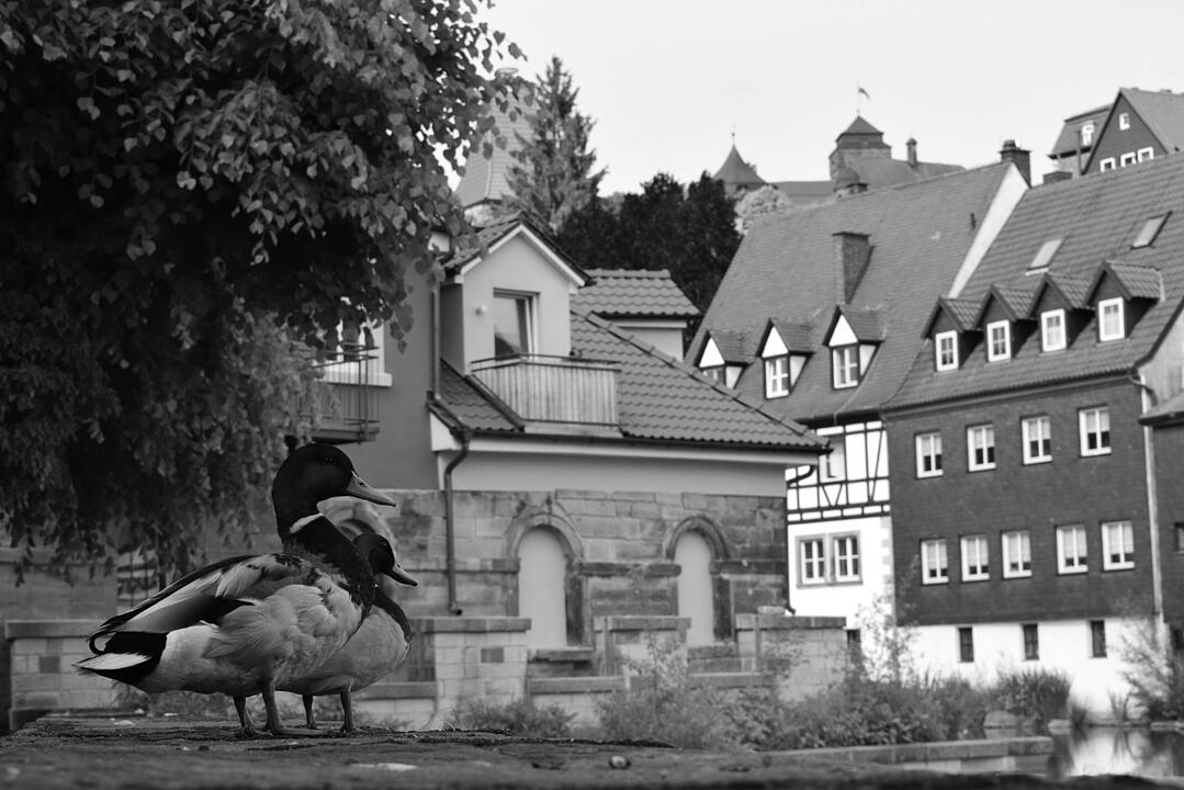 Die schönsten Frühlingsfotos aus Kronach und Umgebung