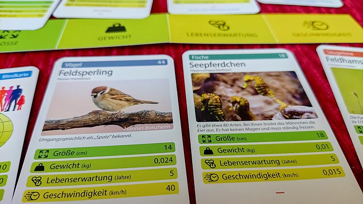 Tiere toppen im Test - geniales Kartenspiel rund um Tierfakten