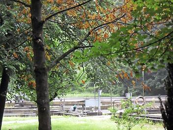 Die Kläranlage Steinwiesen ist insgesamt noch gut in Schuss.  Foto: Susanne Deuerling