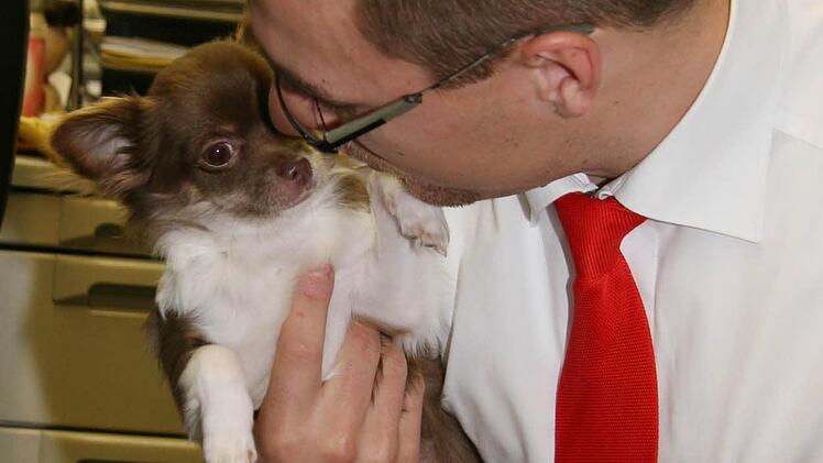 Sebastian Resch liebt seinen Chihuahua Teddy.