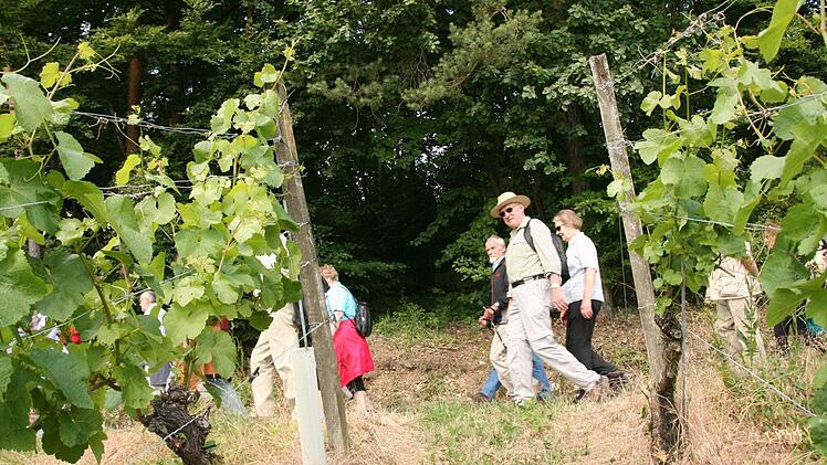 Weinbergwanderung der Saale Zeitung von Wirmsthal nach Wirmsthal 15. Juni 2014