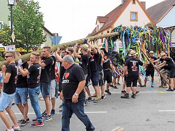 Die stattliche Fichte wird mit vielen Hau-Ruck-Rufen in die Senkrechte gebracht. Foto: Evi Seeger