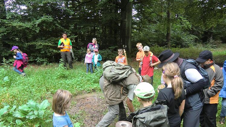 Wenn es mit Förster Fichtner in den Wald geht, gibt es immer etwas zu bestaunen.  Fotos: Gerhard Schmidt