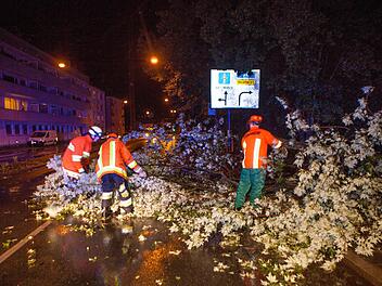 Einstzkräfte der Feuerwehr räumen einen umgestürzten Baum von der Straße am Rathenauplatz in Nürnberg. Foto: News5 / Grundmann