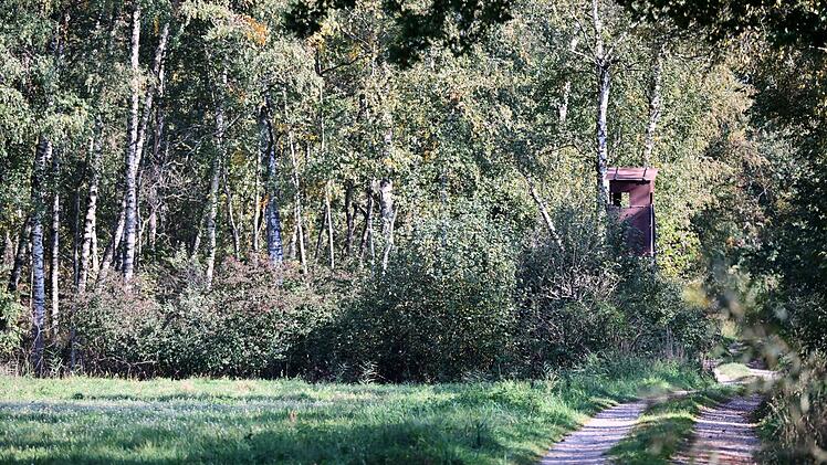 M&uuml;nchen: Angst vor Raubkatze geht um - Drohne und Helikopter im Einsatz