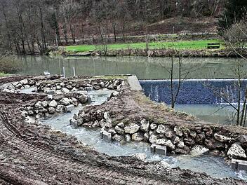 An der Sachsenmühle wurde einiges dafür getan, dass sich die Fische wohler fühlen. Fotos: Pöhlmann