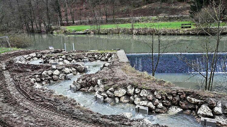 An der Sachsenmühle wurde einiges dafür getan, dass sich die Fische wohler fühlen. Fotos: Pöhlmann