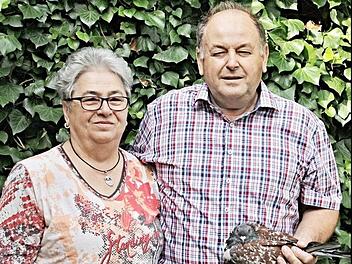 Sein "Täubchen" im Arm, ein Täubchen in der Hand: Rita und Helmut Trinkerl, deren Leben auch von der Züchtung von Rassetauben bestimmt wird, feierten gestern goldene Hochzeit.  Foto: Helmut Will