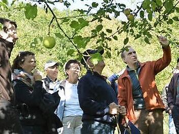 Infotour vermittelte Wissenswertes über alte Obstsorten. Foto: Björn Hein