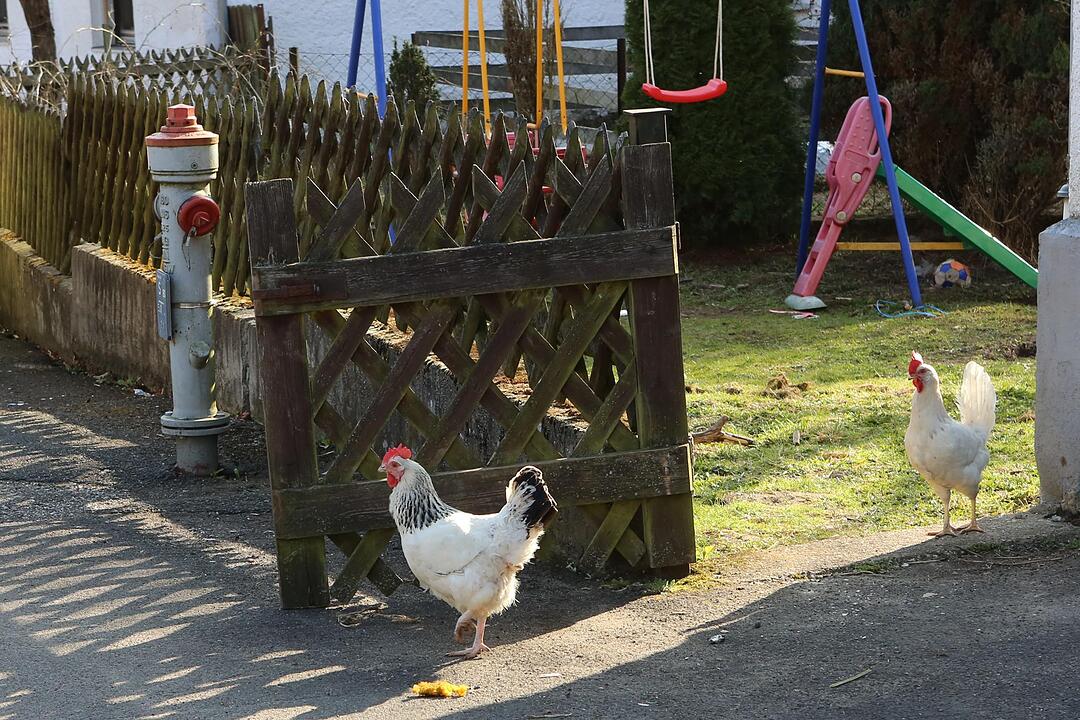 SoS Tiefenstst?rmig Lkr. Fo; Foto: Barbara Herbst