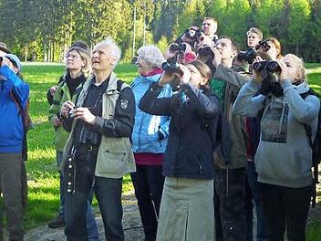 Die Exkursion des Vogelstimmenkurses war äußerst interessant und spannend. Immer wieder wurde das Fernglas gezückt, um nicht nur dem beeindruckenden Konzert der Vogelstimmen zu lauschen, sondern die Solisten so nahe wie möglich optisch an sich heranzuholen. Foto: K.- H. Hofmann