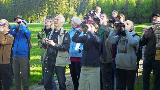 Die Exkursion des Vogelstimmenkurses war äußerst interessant und spannend. Immer wieder wurde das Fernglas gezückt, um nicht nur dem beeindruckenden Konzert der Vogelstimmen zu lauschen, sondern die Solisten so nahe wie möglich optisch an sich heranzuholen. Foto: K.- H. Hofmann