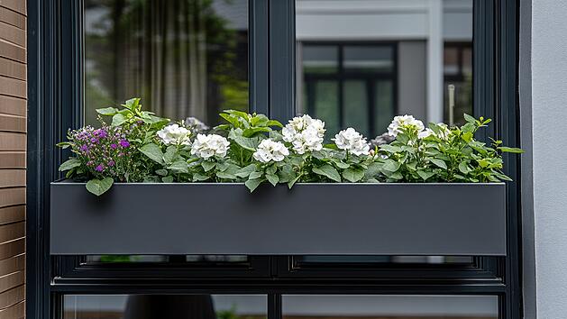 Balkon, Blumenkasten, Urteil, Gericht, Fenster, Pflanzen, Begrünung