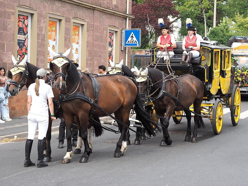 Der sonnt&auml;gliche H&ouml;hepunkt des Rakoczy-Fest.