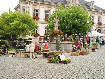 In ein buntes Pflanzenmeer verwandelten die Eltmanner Gärtner den Marktplatz mit ihren Verkaufsständen.