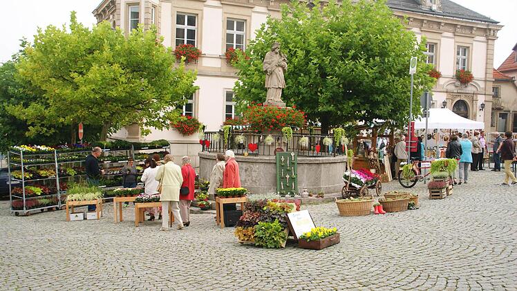 In ein buntes Pflanzenmeer verwandelten die Eltmanner Gärtner den Marktplatz mit ihren Verkaufsständen.