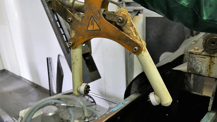 Die Schweine werden  mit einer Elektrozange betäubt, durch die bis zu vier Ampere fließen. Binnen Sekunden ist das Tier narkotisiert. Anschließend wird es an einem Haken aufgehangen, durch einen Stich in die Halsschlagader getötet und blutet binnen weniger Minuten aus. Bei Schweinen beschleunigt eine Blutpumpe den Vorgang. Foto: Sandra Hackenberg