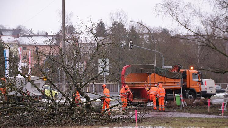 Mitarbeiter des Staatlichen Bauamtes fällen Bäume auf dem Bolzplatz an der Garitzer Kreuzung. Die Arbeiten sind Vorbereitungen für den Garitzer Kreisel. Foto: Benedikt Borst