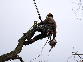 Erlangen: Kurt-Schumacher-Straße drei Tage gesperrt - so wird der Verkehr geregelt Erlangen: Kurt-Schumacher-Straße drei Tage gesperrt - so wird der Verkehr geregelt