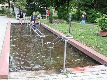 Das Kneipp-Becken im Luitpoldpark.  Foto: Edgar Bartl