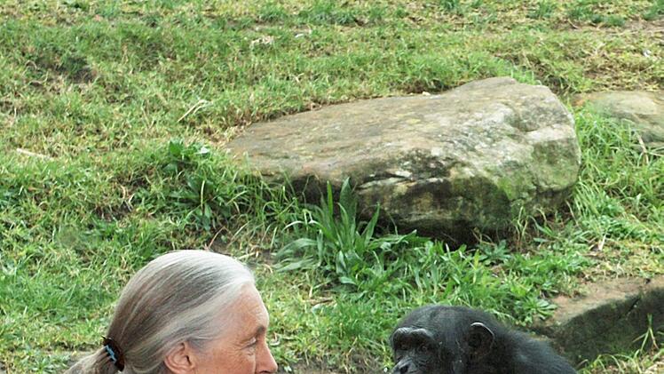 Primaten-Forscherin Jane Goodall ist tot