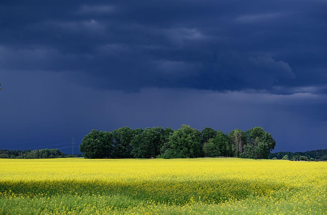 Wetter in Sachsen