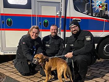 A6 bei N&uuml;rnberg: Hund rei&szlig;t sich los und rennt auf Autobahn - Polizei sorgt f&uuml;r gl&uuml;ckliches Ende