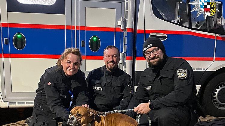 A6 bei N&uuml;rnberg: Hund rei&szlig;t sich los und rennt auf Autobahn - Polizei sorgt f&uuml;r gl&uuml;ckliches Ende