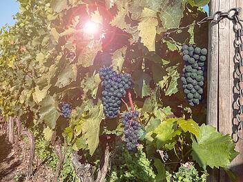 Dettelbacher Weinfest 2026