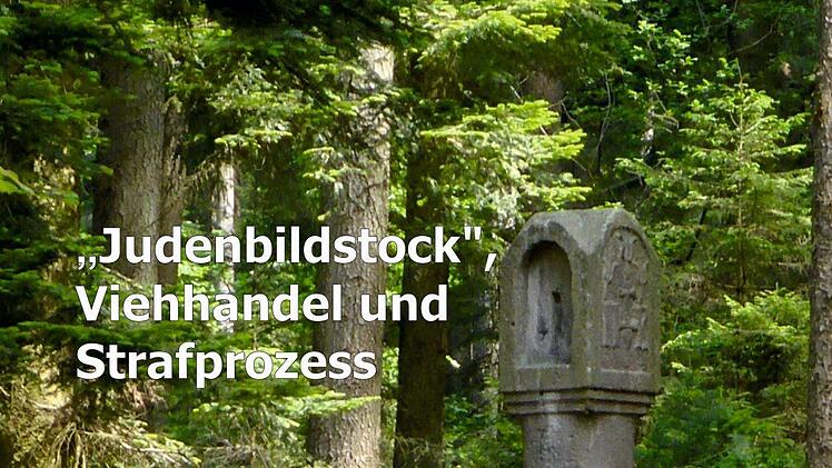 Die Erstauflage des thematischen Sachbuches umfasst 114 Seiten mit rund 100 Exemplaren und erschien im Januar dieses Jahres. Foto: Nathalie Flügel