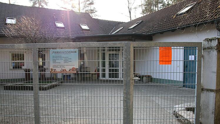 Das Tierheim in Heinersreuth bleibt vorübergehend wegen der Corona-Pandemie zum Schutz der Mitarbeiter geschlossen.Jochen Nützel